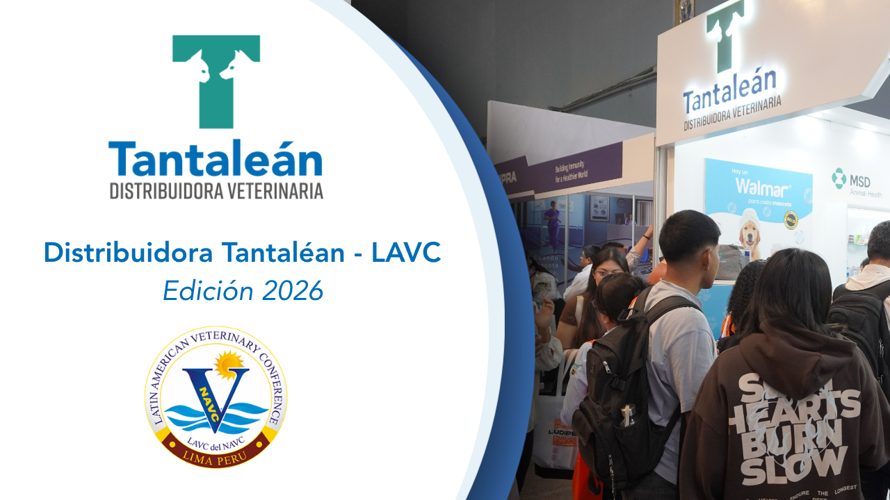 Distribuidora Tantaleán presente en el LAVC 2026