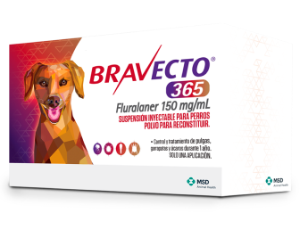 Bravecto 365 Inyectable